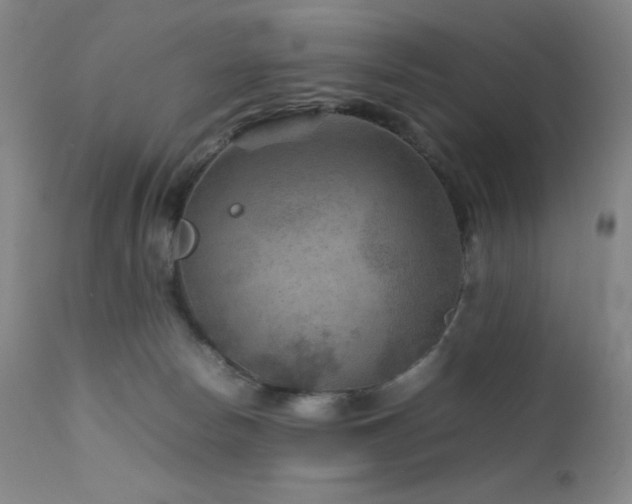 X0000111900178200907271207