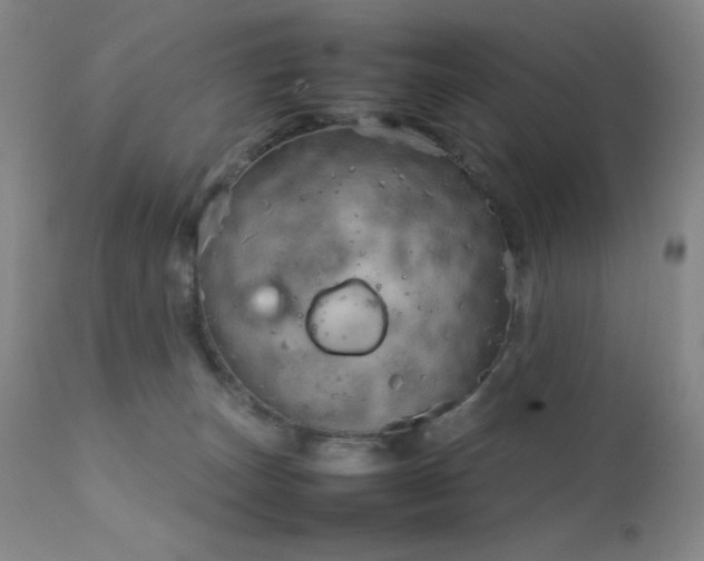 X0000111900179200907271207