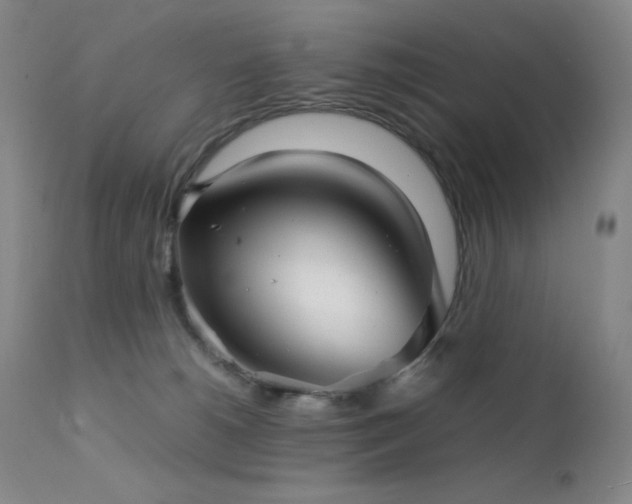 X0000111900180200907271207