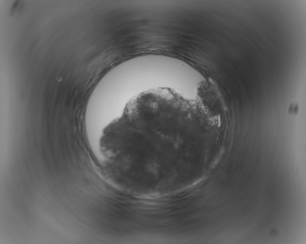 X0000111900181200907271207