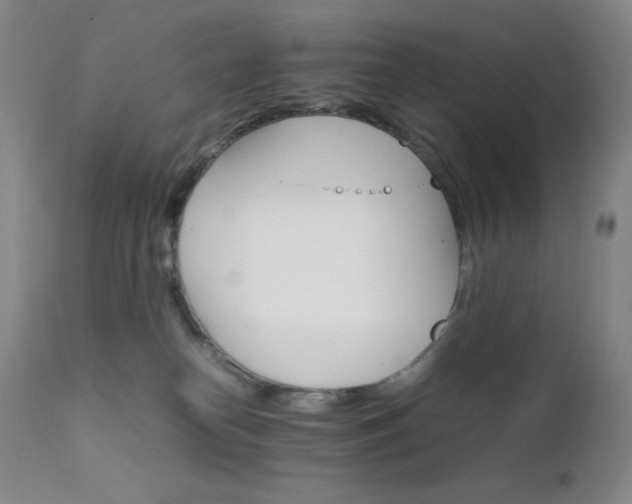 X0000111900182200907271207