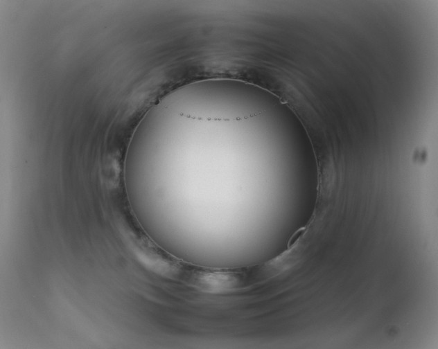 X0000111900183200907271207