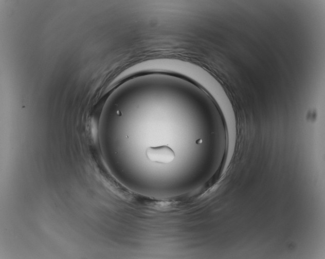 X0000111900184200907271207