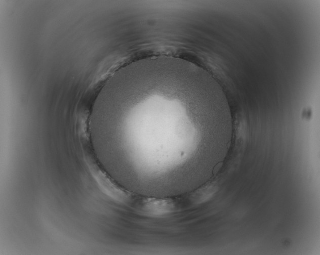 X0000111900185200907271207