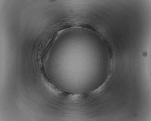 X0000111900186200907271207