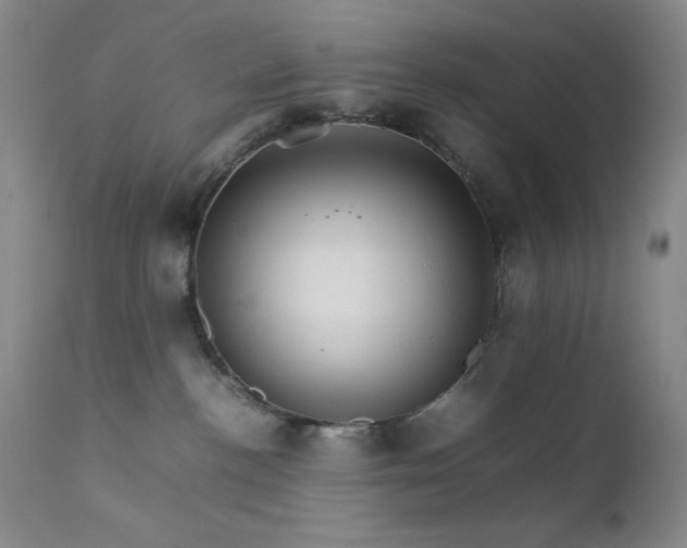 X0000111900188200907271207