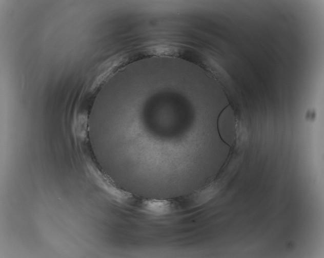 X0000111900189200907271207