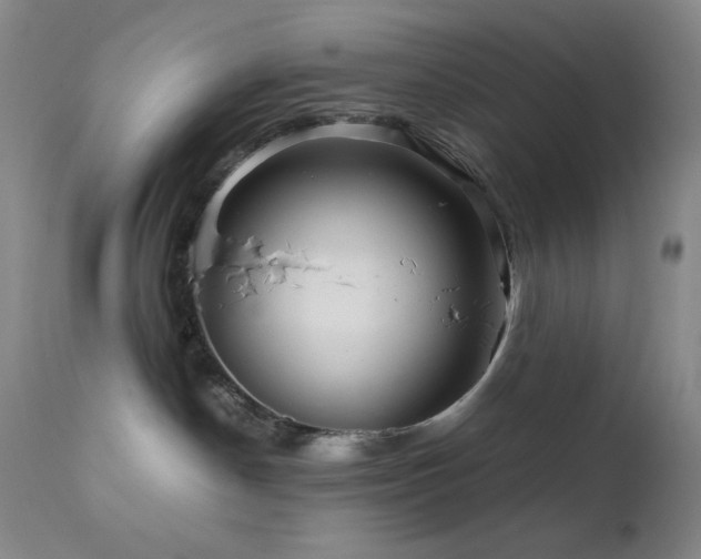 X0000111900190200907271207