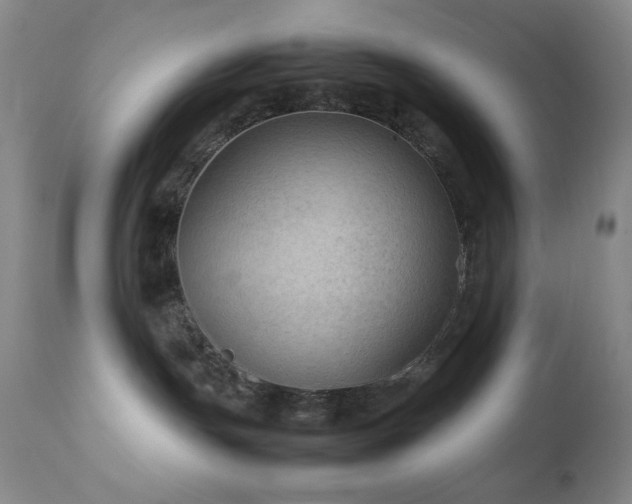 X0000111900191200907271207