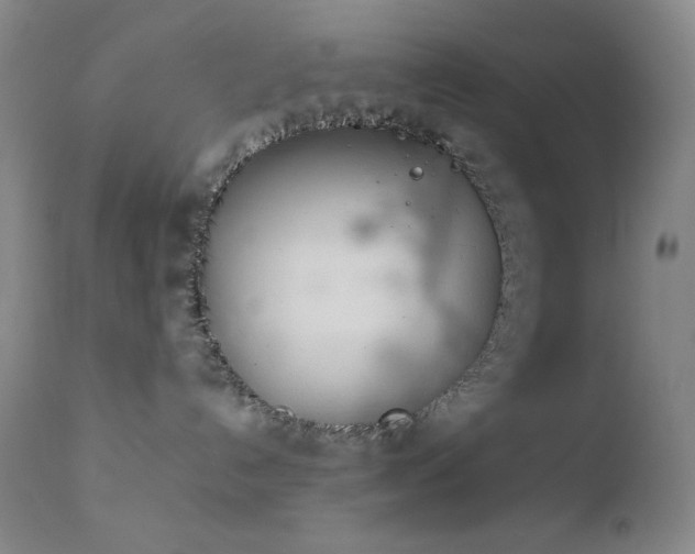 X0000111900192200907271207