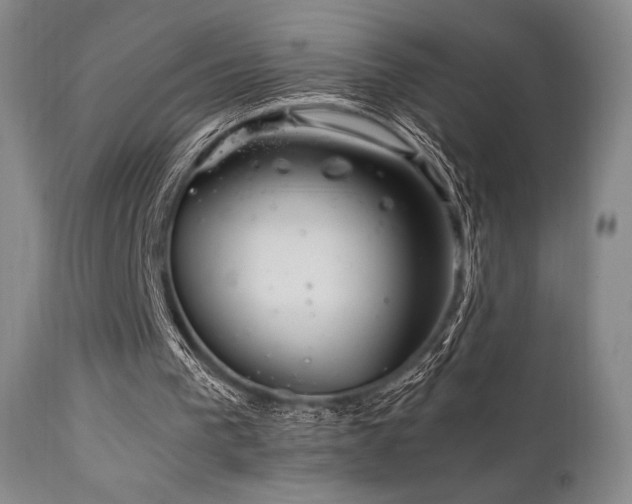 X0000111900193200907271206