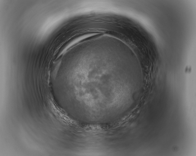 X0000111900194200907271206