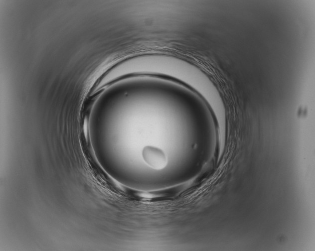 X0000111900195200907271206