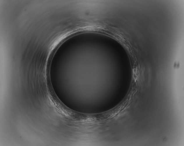 X0000111900196200907271206