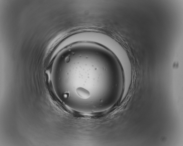 X0000111900197200907271206