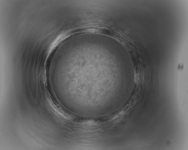 X0000111900198200907271206