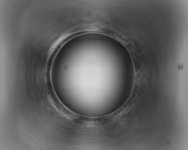 X0000111900200200907271206