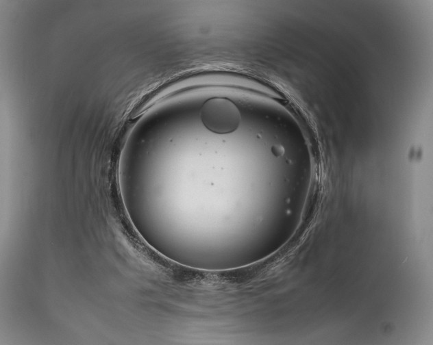 X0000111900201200907271206