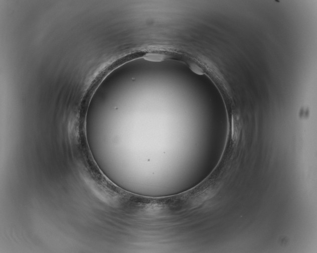 X0000111900204200907271206