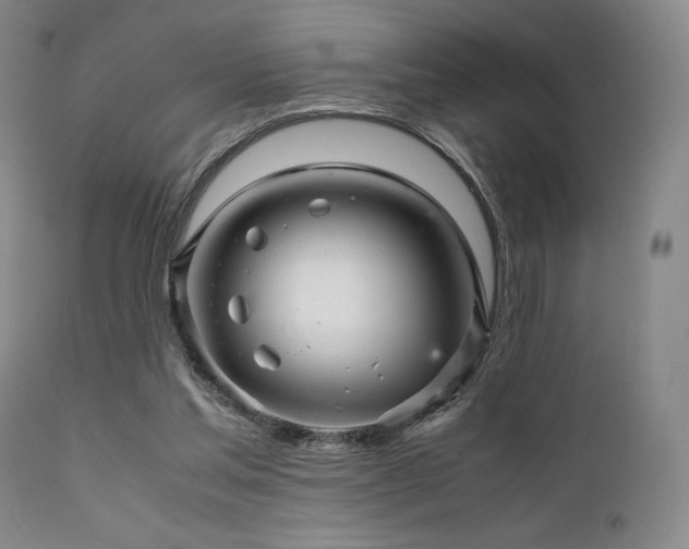 X0000111900205200907271206