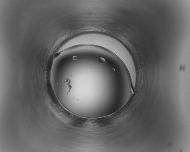 X0000111900207200907271206