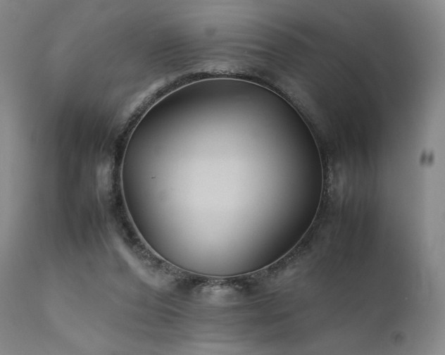 X0000111900208200907271206