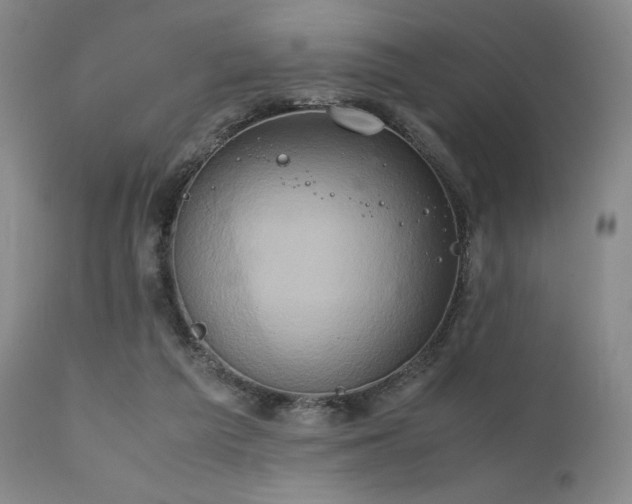 X0000111900209200907271206