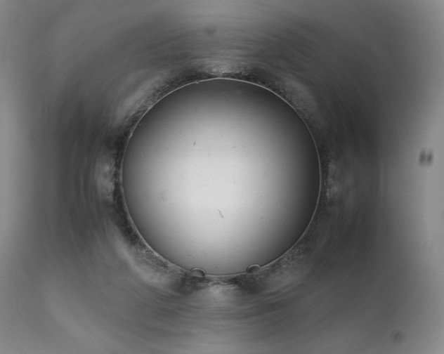 X0000111900210200907271206