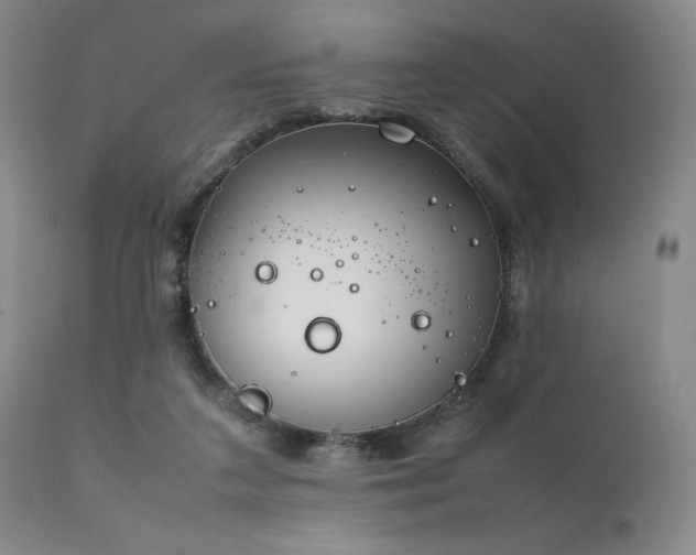 X0000111900211200907271206