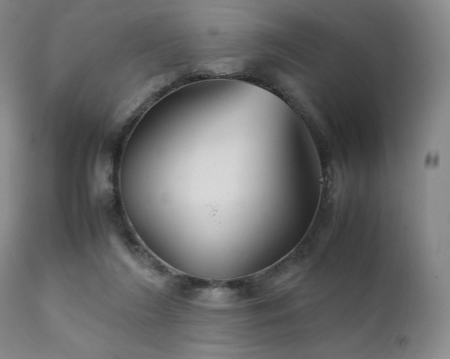 X0000111900212200907271206