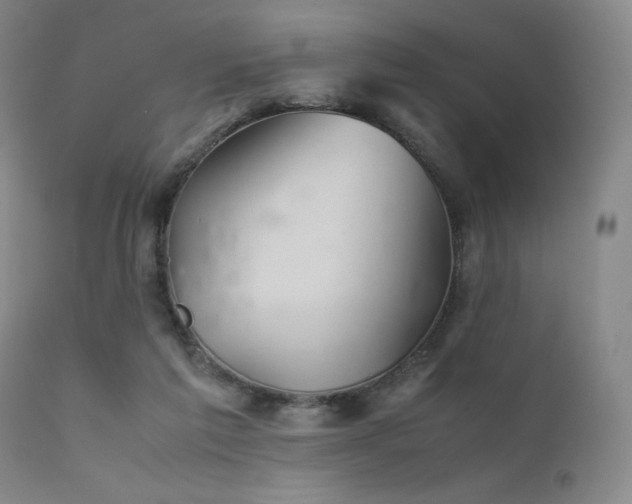 X0000111900213200907271206