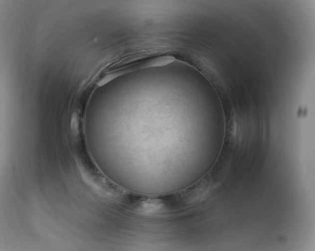 X0000111900214200907271206