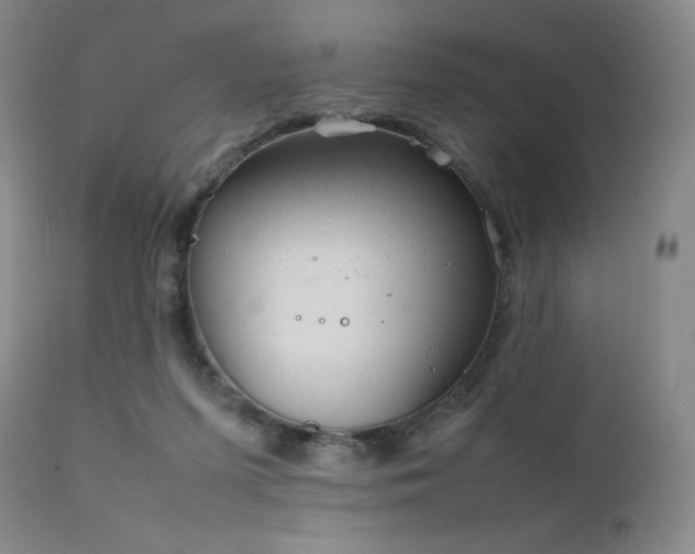 X0000111900215200907271206