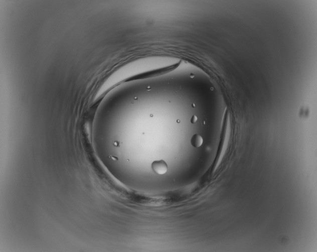 X0000111900217200907271206