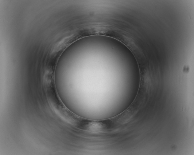 X0000111900218200907271206