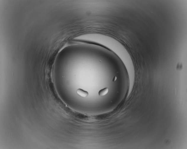 X0000111900219200907271206