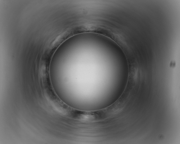 X0000111900220200907271206