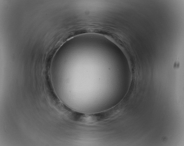 X0000111900221200907271206