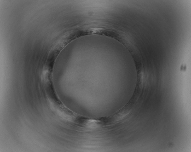 X0000111900222200907271206