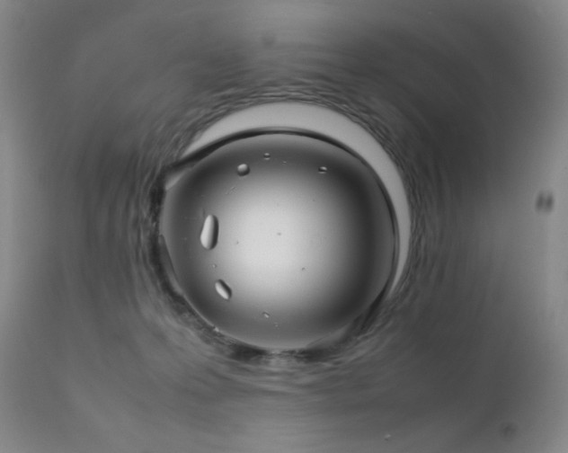 X0000111900223200907271206