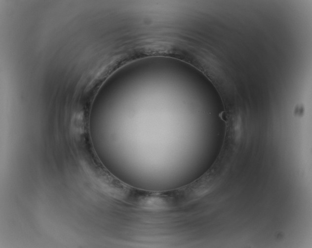 X0000111900224200907271206