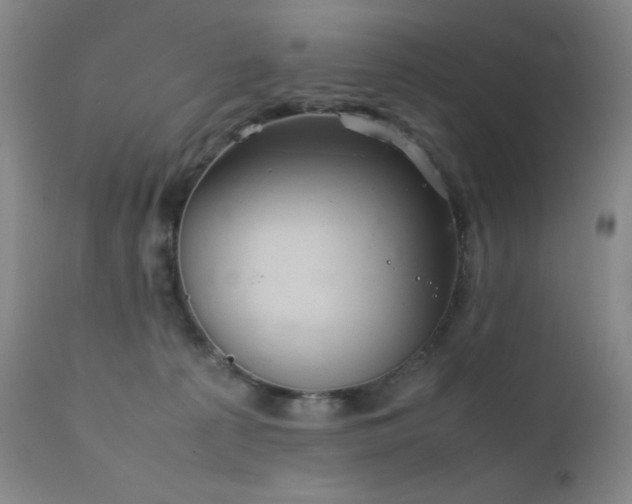 X0000111900225200907271206