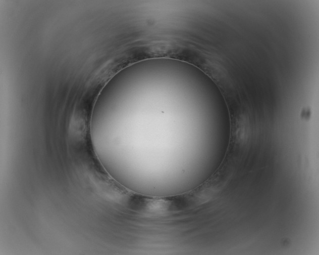 X0000111900226200907271206