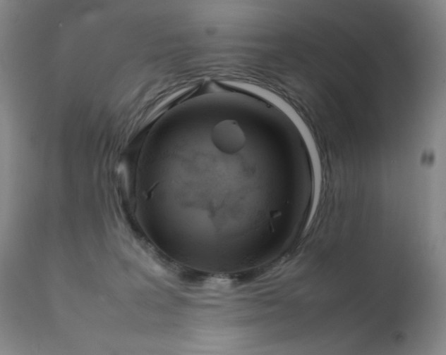 X0000111900227200907271206