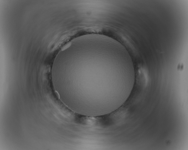 X0000111900229200907271206