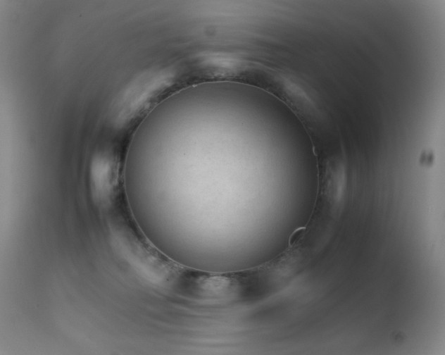 X0000111900230200907271206