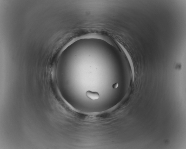 X0000111900231200907271206