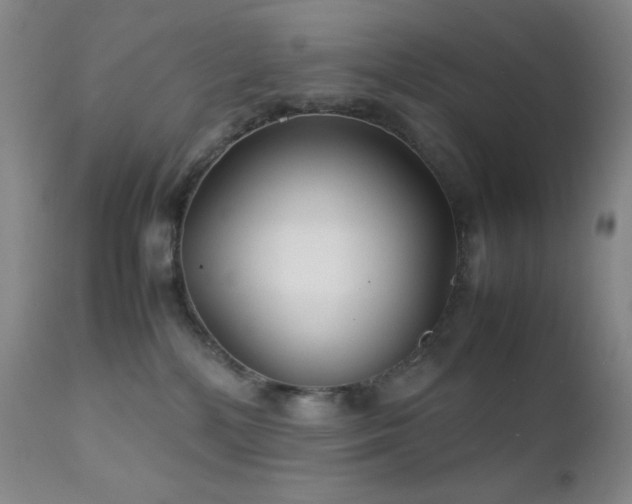 X0000111900232200907271206