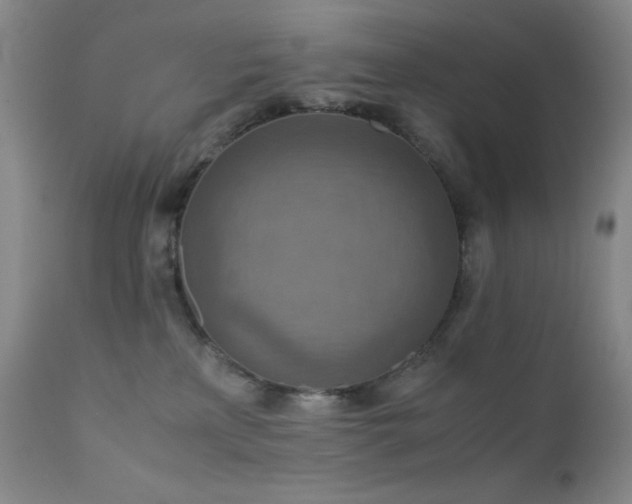 X0000111900233200907271206