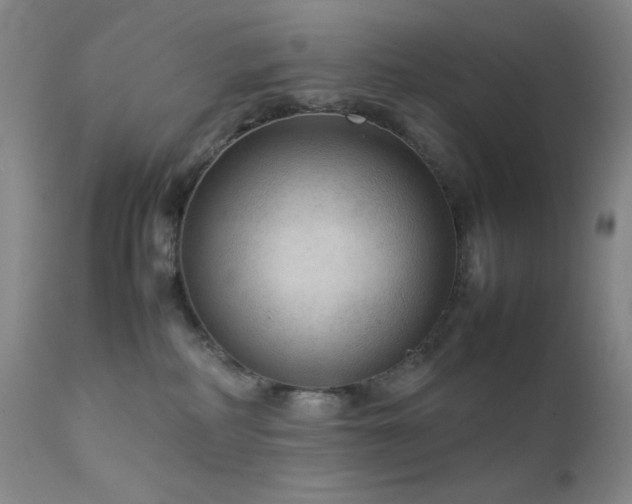 X0000111900234200907271206